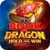 Book of Dragon Hold and Win slot